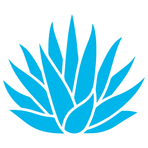 planta-mezcal-azul