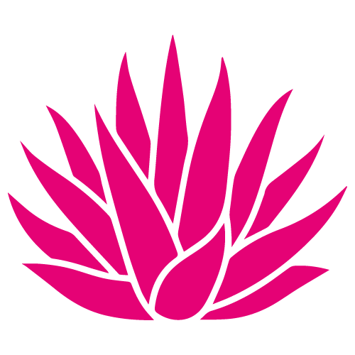 planta-mezcal-futcia