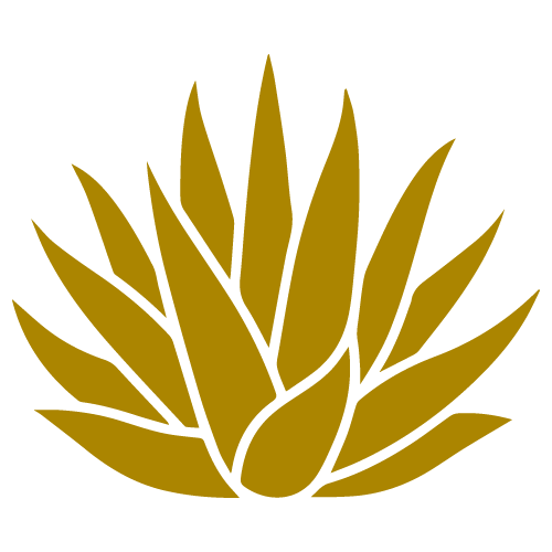 planta-mezcal-marron