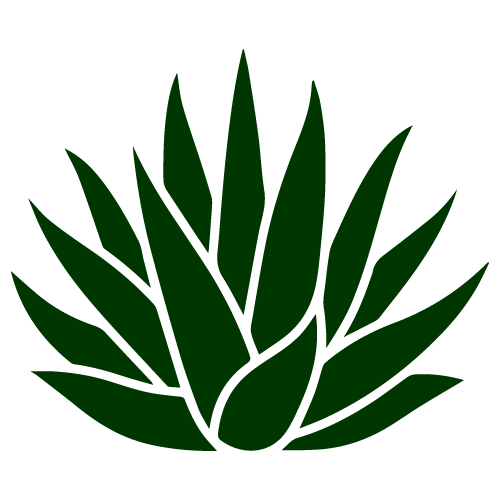 planta-mezcal---verde